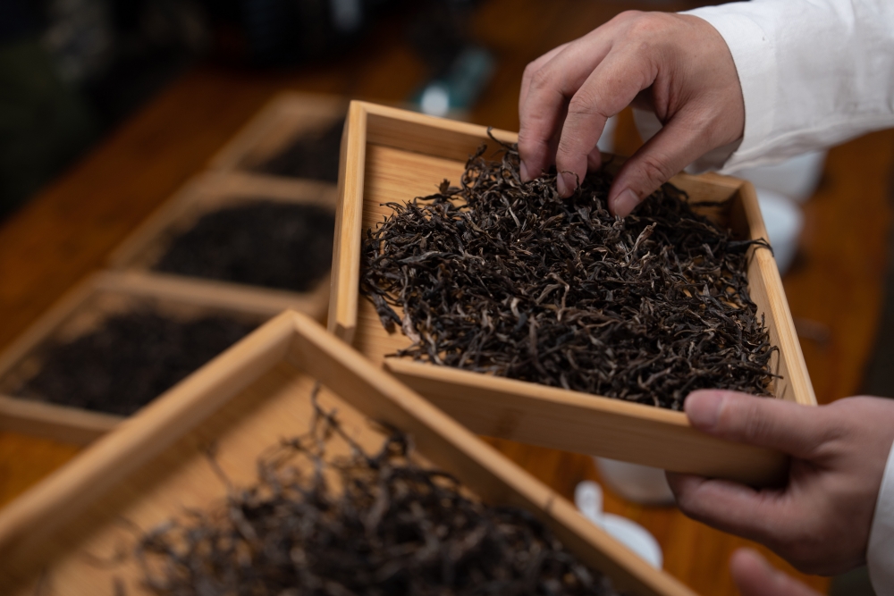 对话何氏滋味集大成者：致力于打造中国高端手作普洱茶的文源茶业。